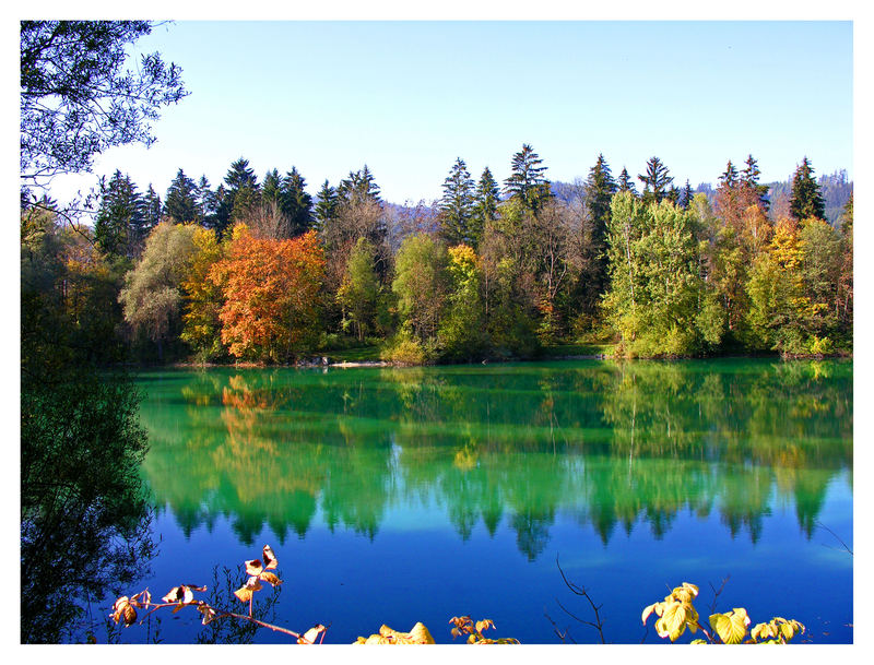 Herbst am Teich