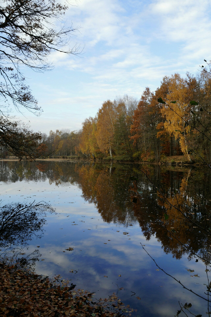 Herbst am Teich