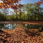 Herbst am Teich II