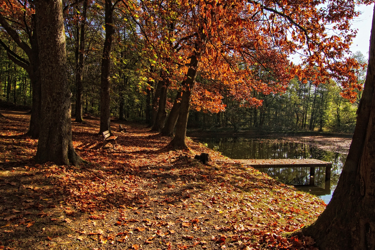 Herbst am Teich III Foto & Bild deutschland, europe, nordrhein