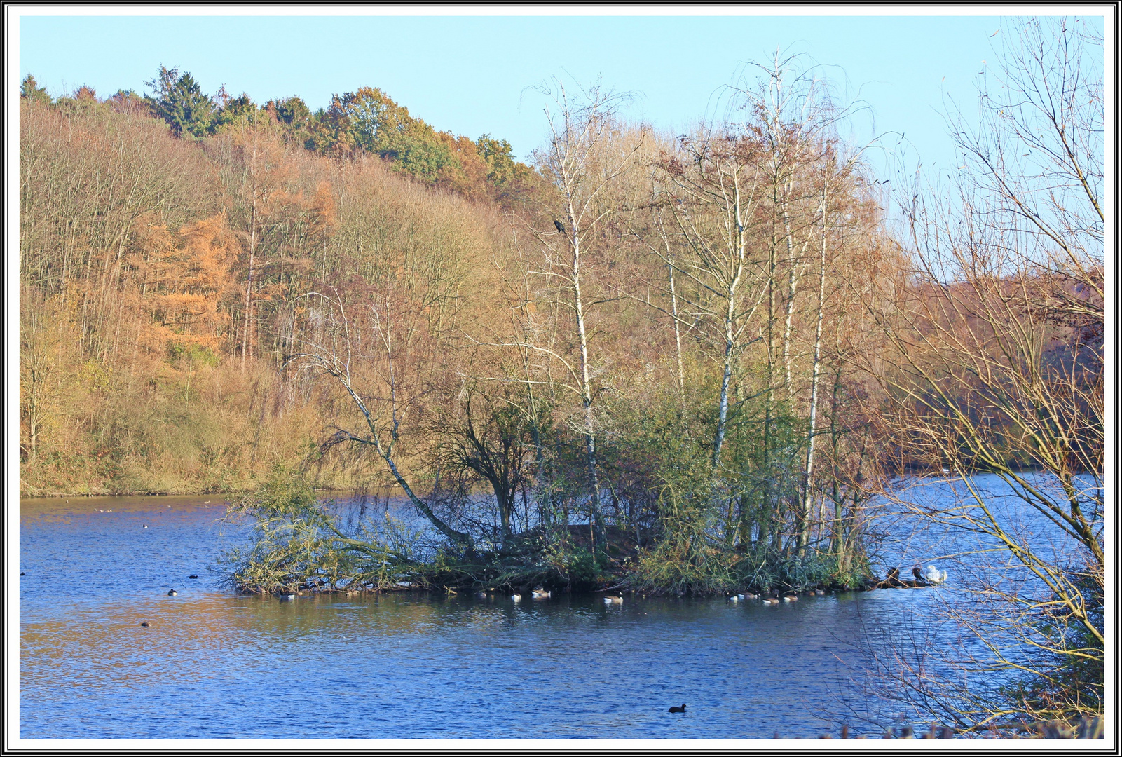 Herbst am Teich/ See