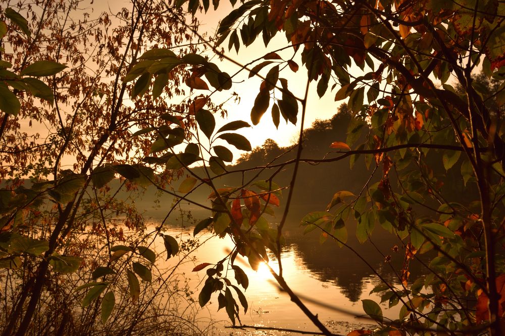 Herbst am Teltow Kanal