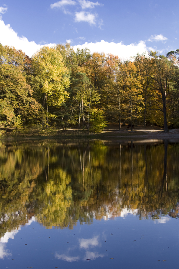 Herbst am Teufelssee