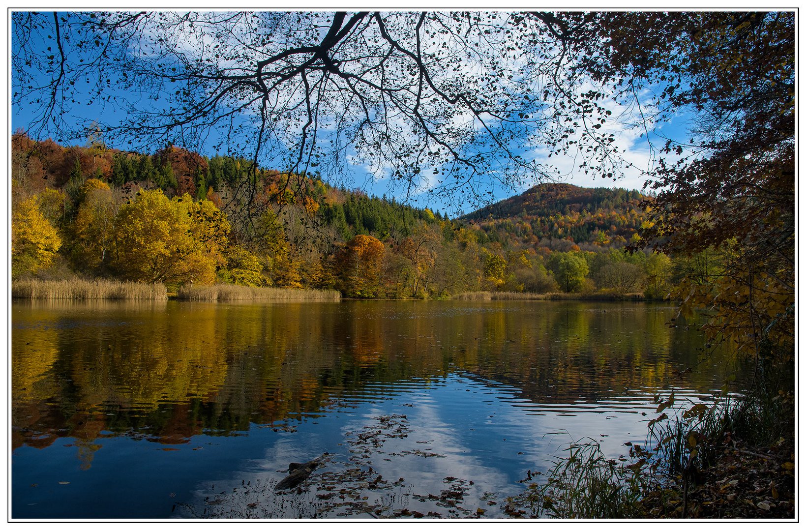 Herbst-am-Thalersee