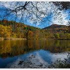 Herbst-am-Thalersee