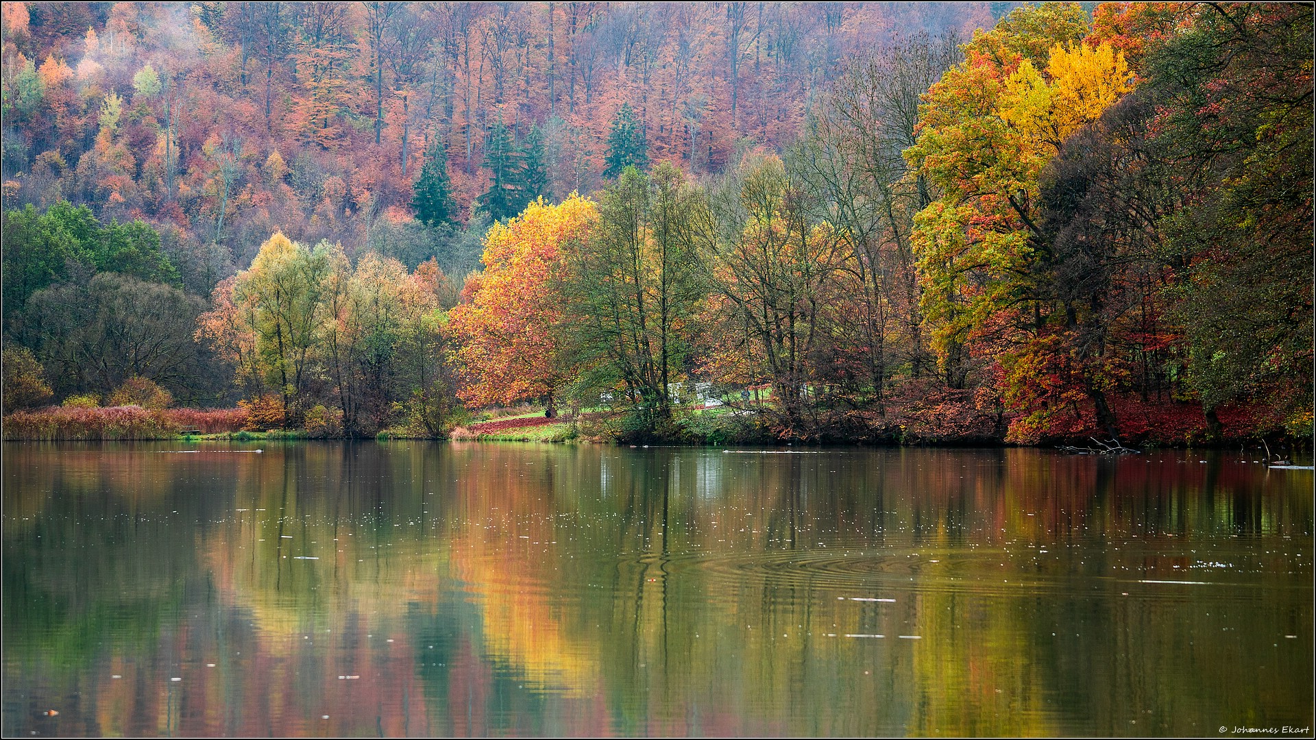 Herbst am Thalersee