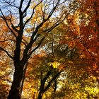 Herbst am Theresienstein