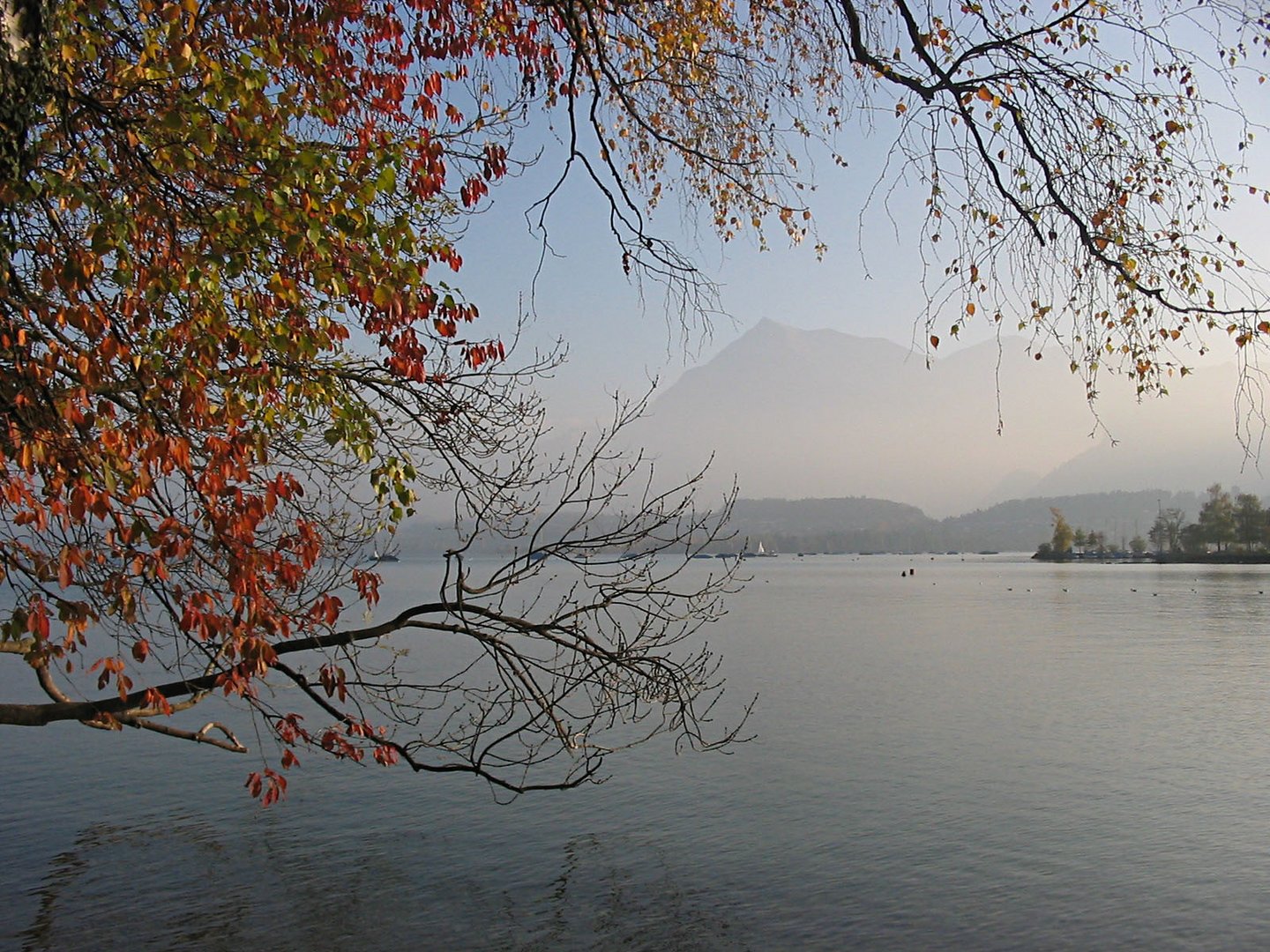 Herbst am Thuner See