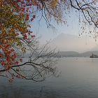 Herbst am Thuner See