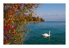 Herbst am Thuner See