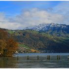 Herbst am Thunersee