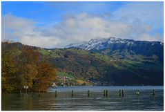 Herbst am Thunersee
