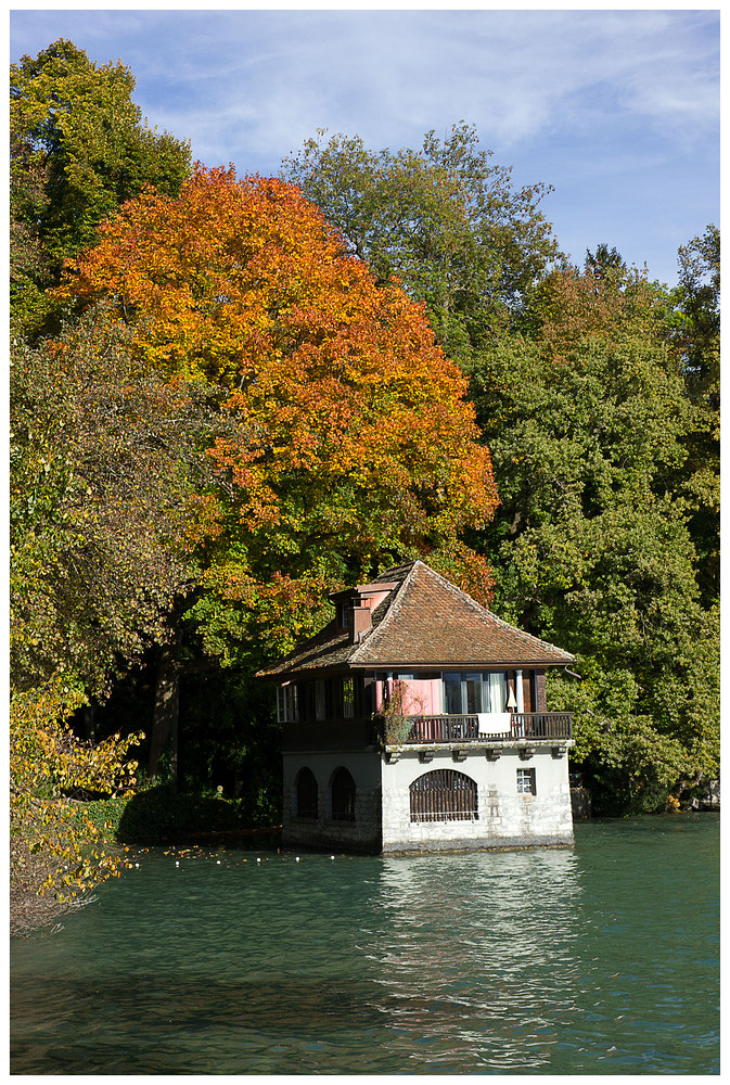 Herbst am Thunersee