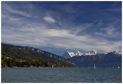 Herbst am Thunersee