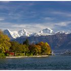 Herbst am Thunersee II