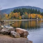 Herbst am Titisee (2)