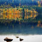 herbst am titisee