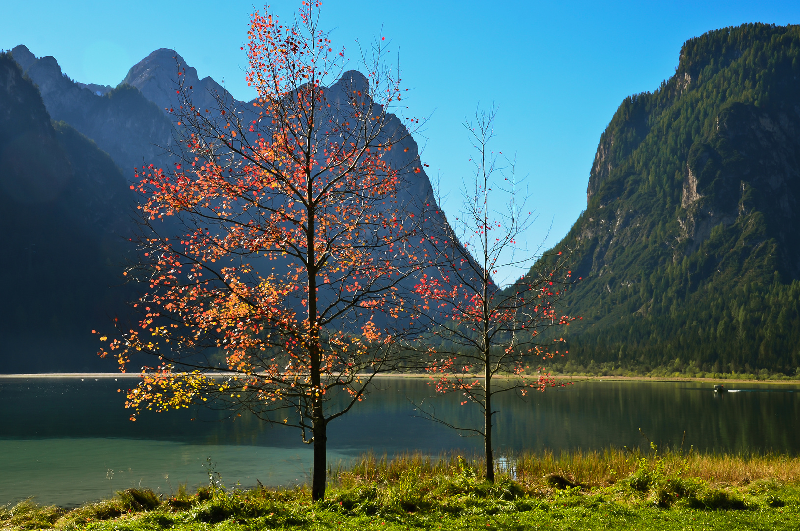 Herbst am Toblach See