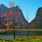 Herbst am Toblach See