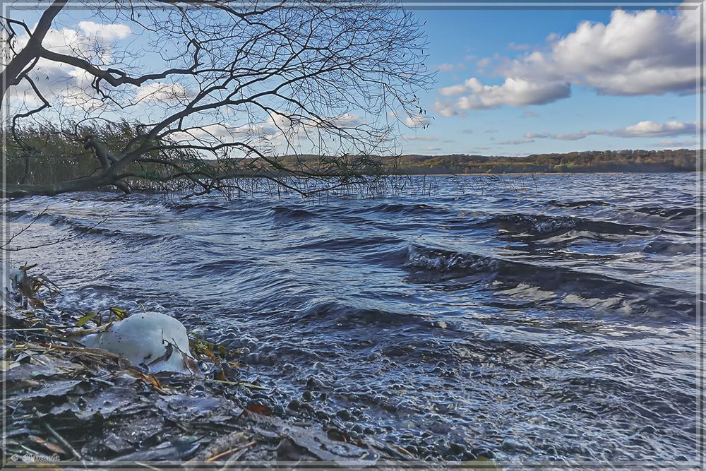 Herbst am Tollensesee