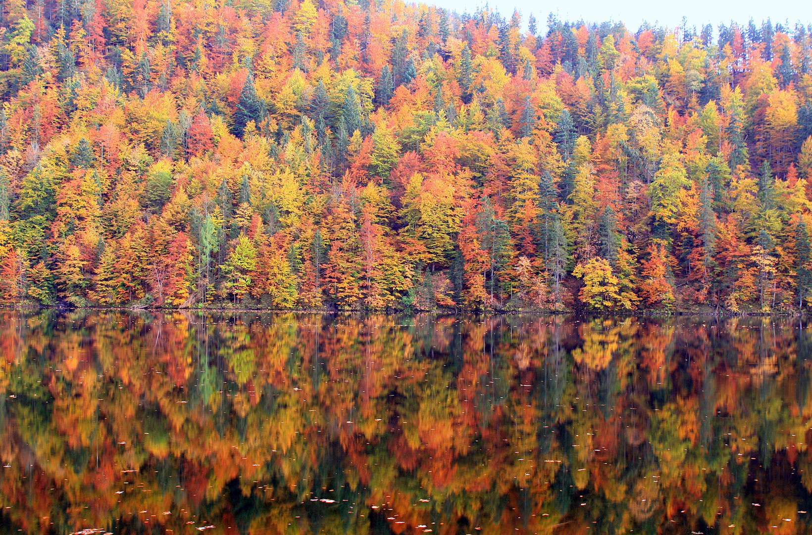 Herbst am Toplitzsee