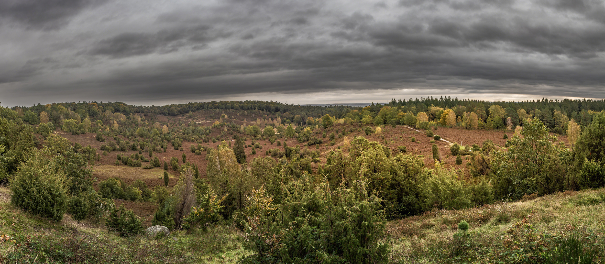 Herbst am Totengrund in der Lüneburger Heide