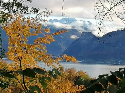 Herbst am Traunsee