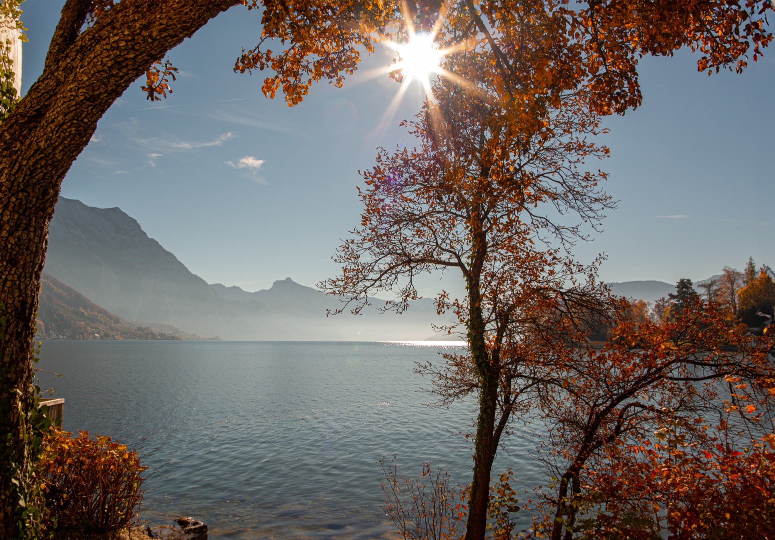 Herbst am Traunsee 