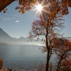 Herbst am Traunsee 