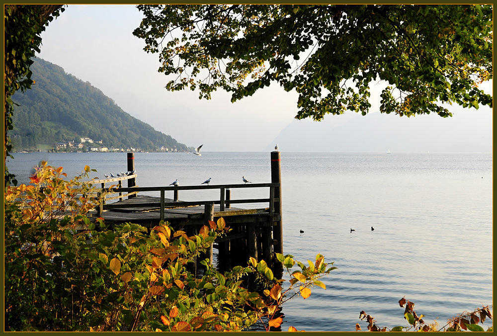 Herbst am Traunsee.....
