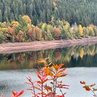 Herbst am Trinwasserspeicher kleine Kinzig