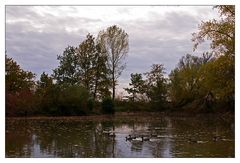 Herbst am Tümpel 2