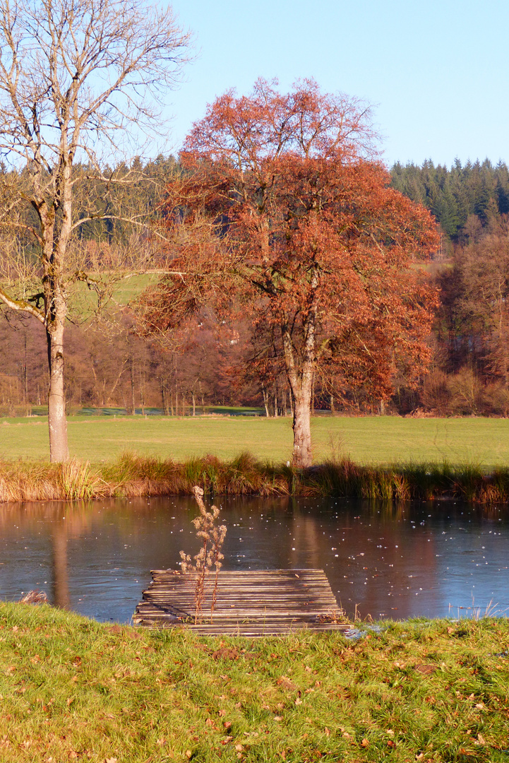 °°°° Herbst am Tümpel °°°°