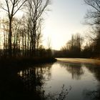 Herbst am Tümpel