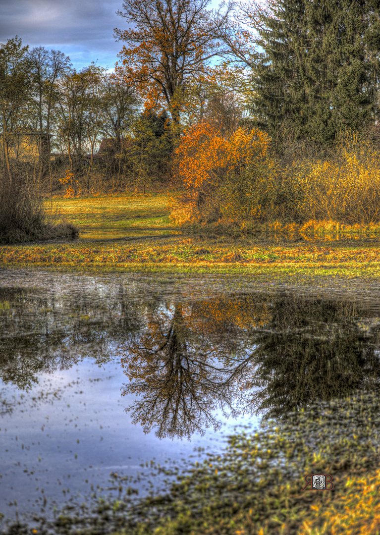 Herbst am Tümpel