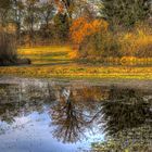 Herbst am Tümpel