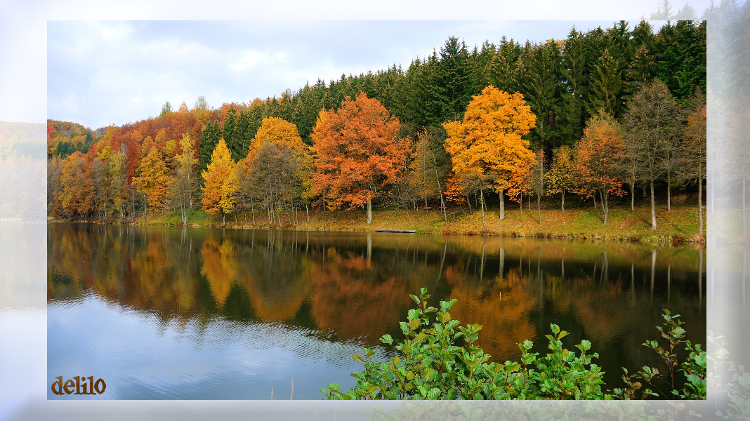 Herbst am Tüschebachs Weiher