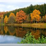 Herbst am Tüschebachs Weiher