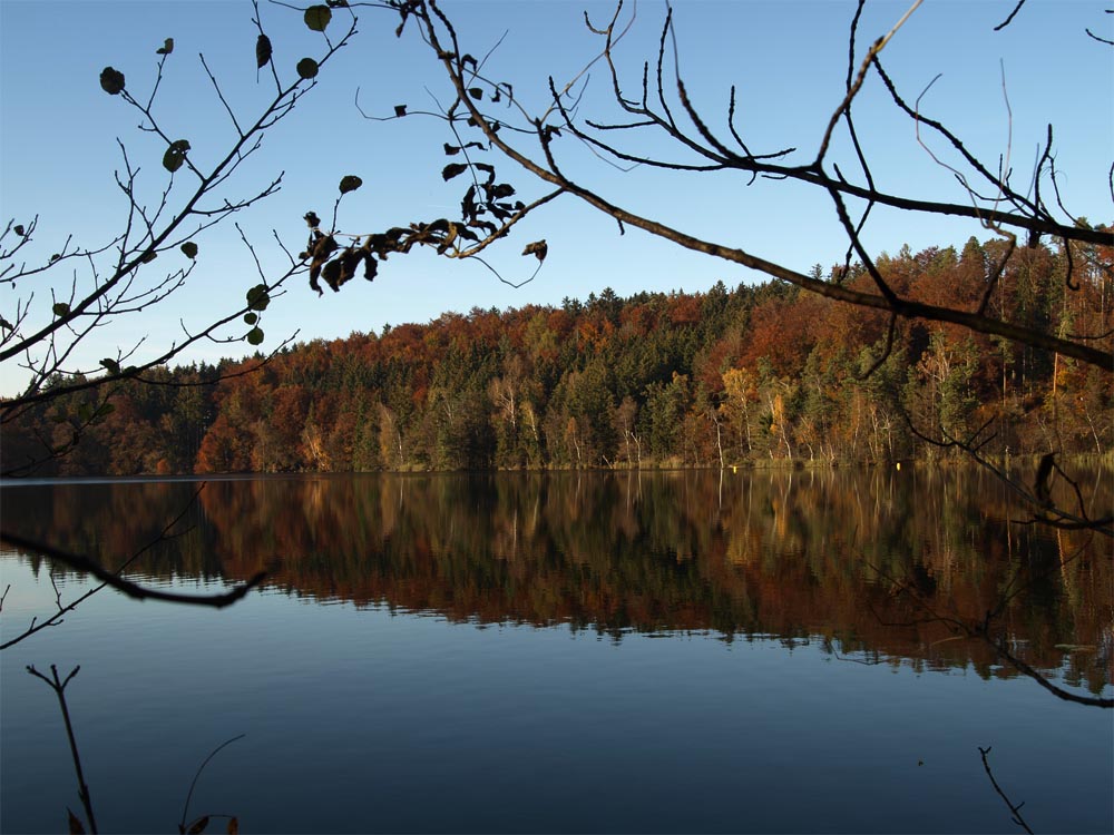 Herbst am Tüttensee