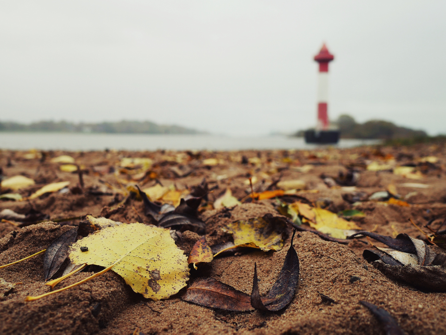 Herbst am Turm