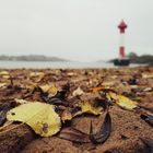 Herbst am Turm