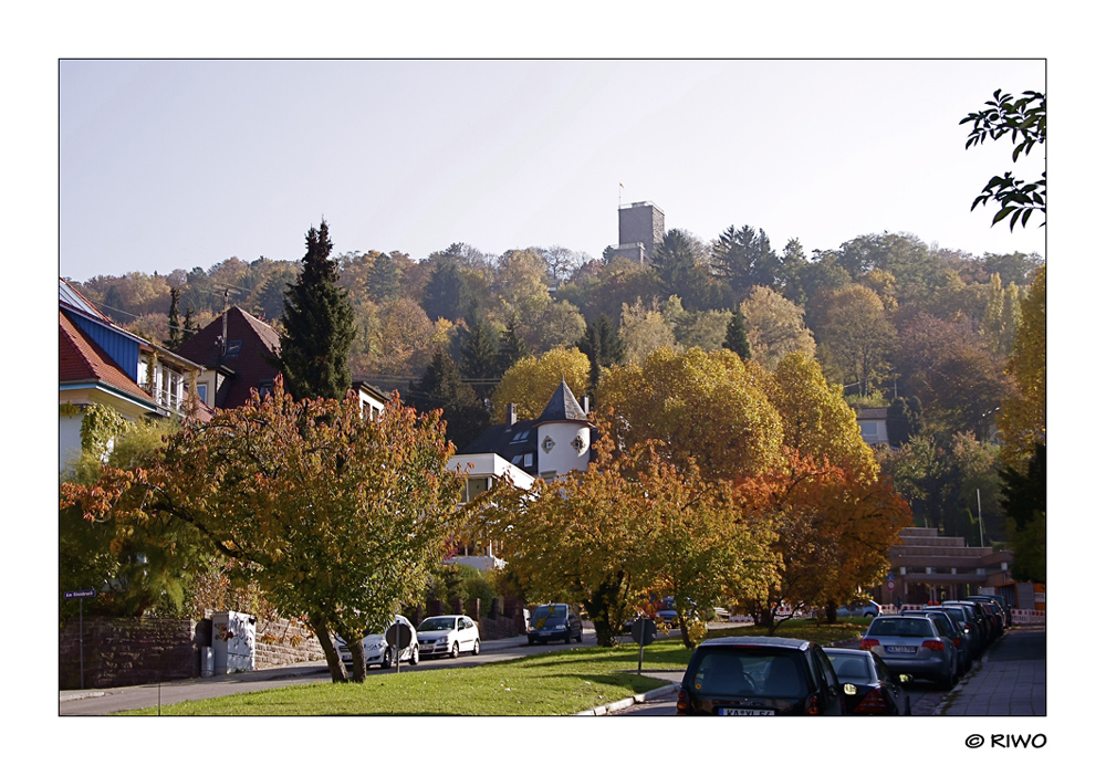 Herbst am Turmberg in Karlsruhe.....