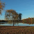 Herbst am Ümminger See