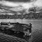 Herbst am Ümminger See