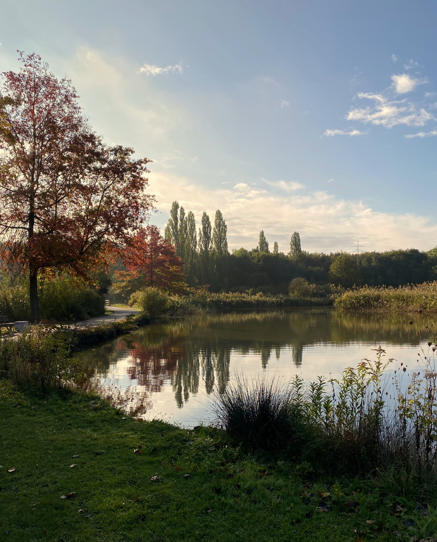 Herbst am Ümminger See