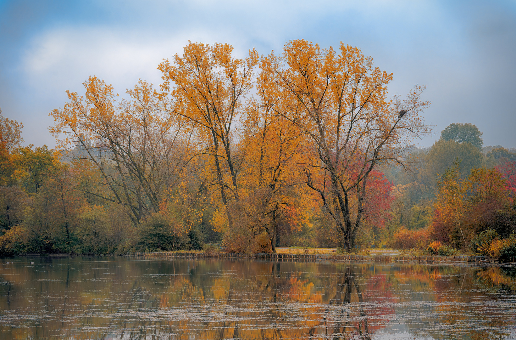 Herbst am Ümminger See II