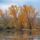 Herbst am Ümminger See II