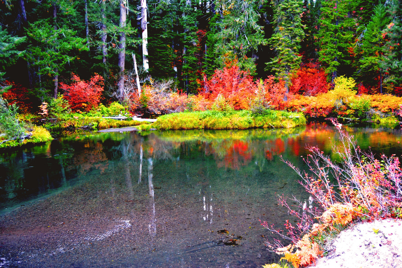 Herbst am Ufer