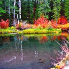 Herbst am Ufer