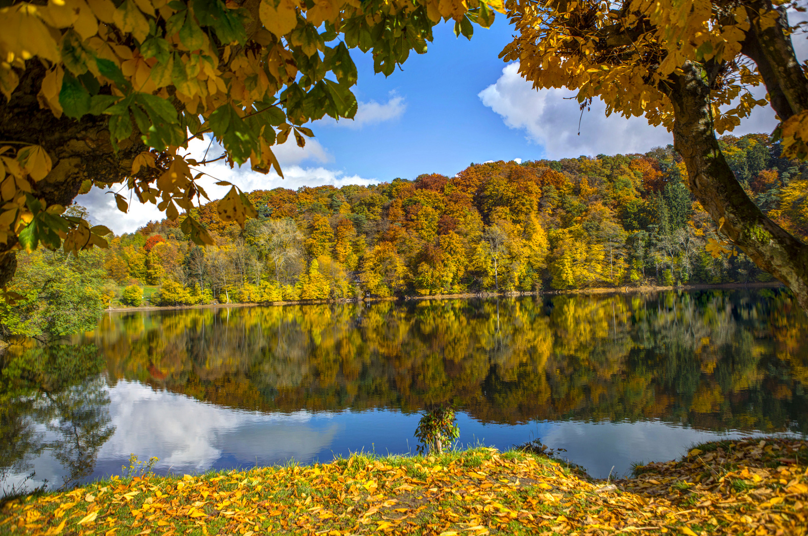 Herbst am Ulmener Maar